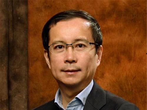 阿里和蒋凡最新爆料新闻,蒋凡最新爆料揭露惊人内幕